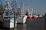 The shrimp fleet, Darien, GA.