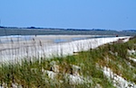 Atlantic beach, Sapelo Island, GA